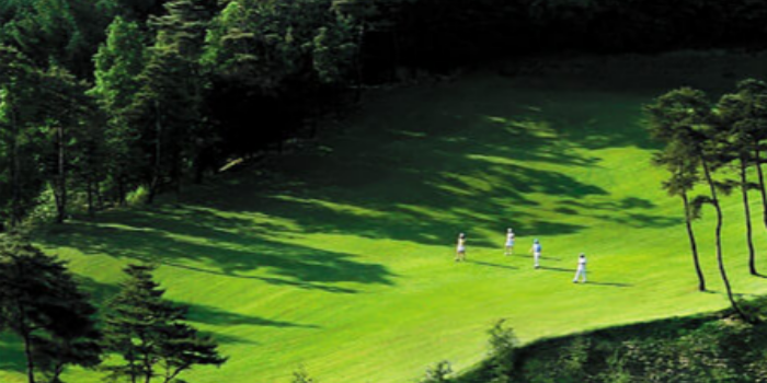 74d3db6f25a54bbf442432cc92611363_1772584568_4642.png 74d3db6f25a54bbf442432cc92611363_1772584568_4642.png