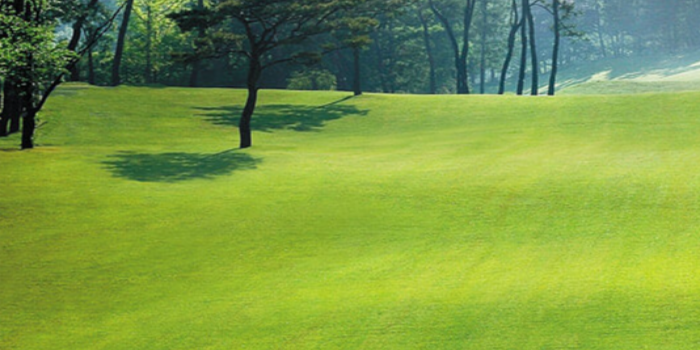 74d3db6f25a54bbf442432cc92611363_1772584585_8962.png 74d3db6f25a54bbf442432cc92611363_1772584585_8962.png