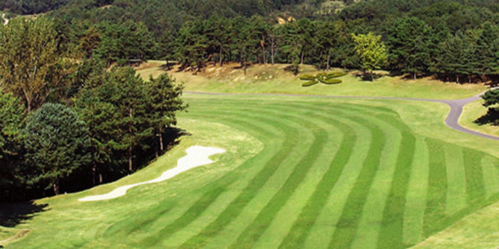 842f8a8e3ea35ff1922fbe6798b13196_1775178039_2933.png 842f8a8e3ea35ff1922fbe6798b13196_1775178039_2933.png