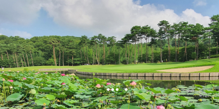 a0e4c1cbdfea8f1c07b78696c50fb978_1776144457_85.png a0e4c1cbdfea8f1c07b78696c50fb978_1776144457_85.png